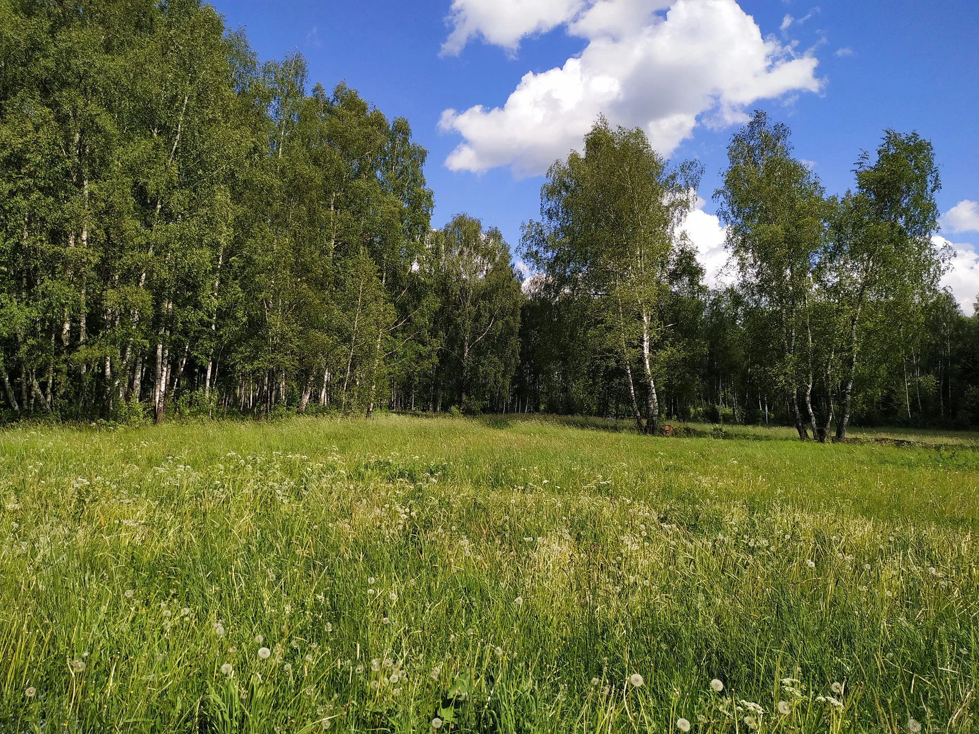 Блок Герой_new